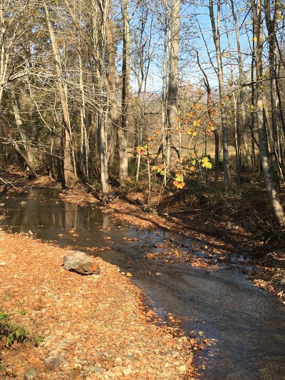 Serenity Views Bungalow - Close To City And Parkway! Villa Weaverville Eksteriør bilde